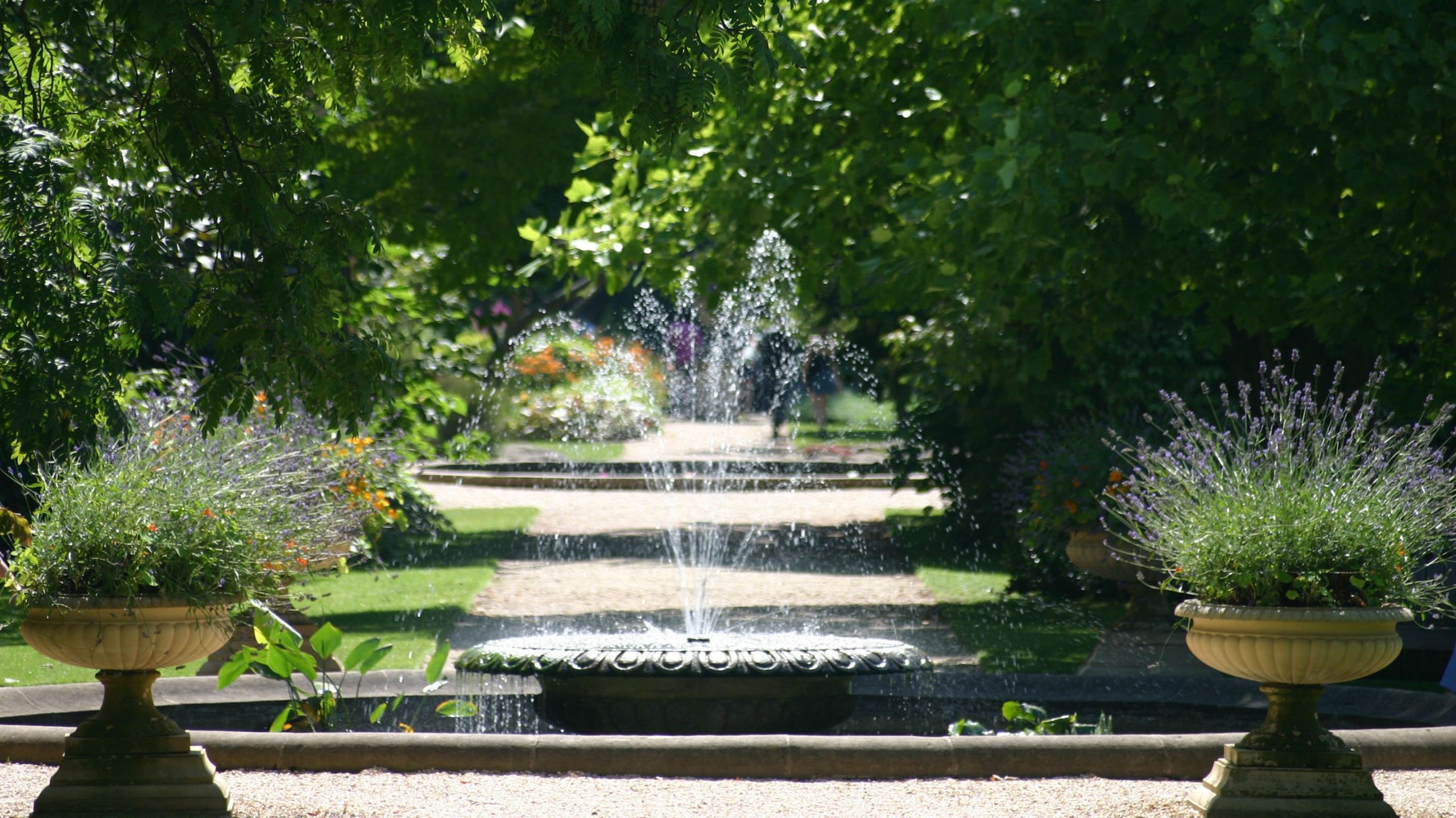 Waterfall in landscape