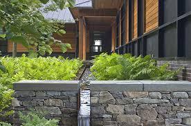 Drought-tolerant plants