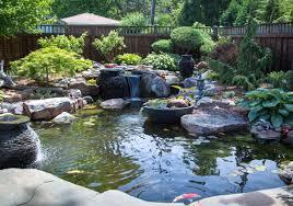Wildlife near pond